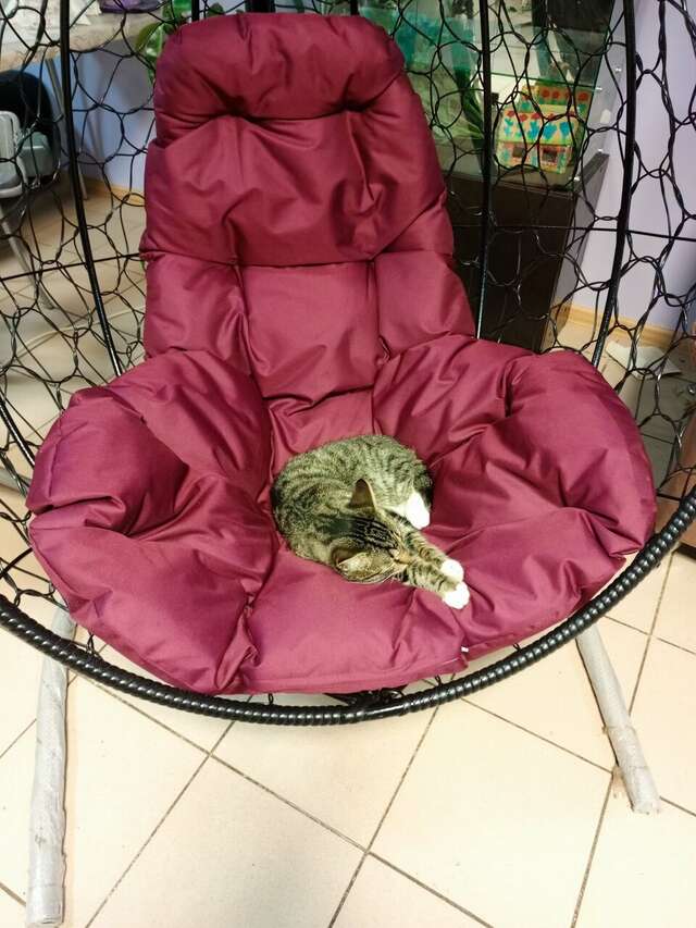 Мини-отель Флёр Углич-56